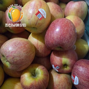 프리미엄 엔비사과 5kg / 10kg