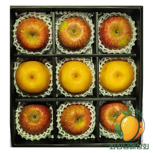 프리미엄 선물세트 사과 6과 + 배 3과