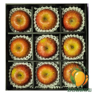 프리미엄 사과 9과 개당중량 330g내외