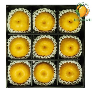 프리미엄 신고배 선물세트 개당550g내외 9과