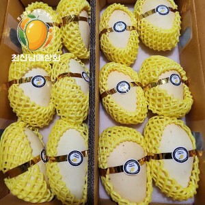 프리미엄 옐로우 골드망고 12과